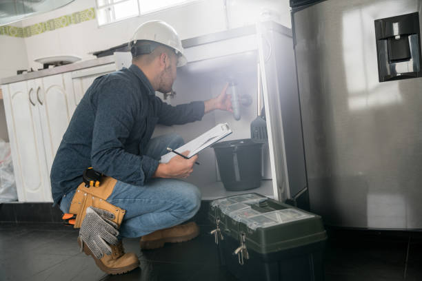 Best Plumbing Inspection Services  in Hillsboro, MO
